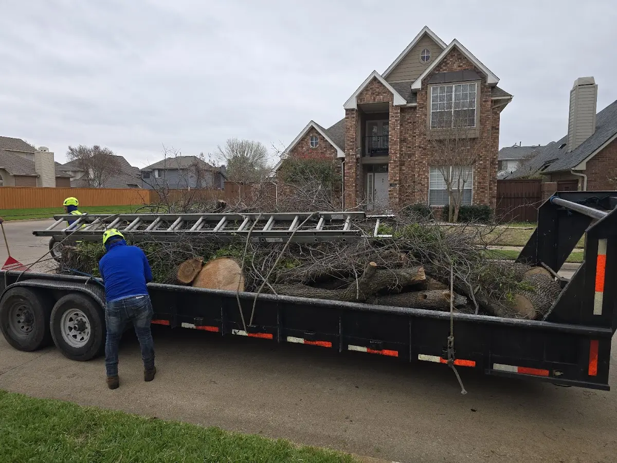 Expert Lot Clearing with proper safety equipment in Duck